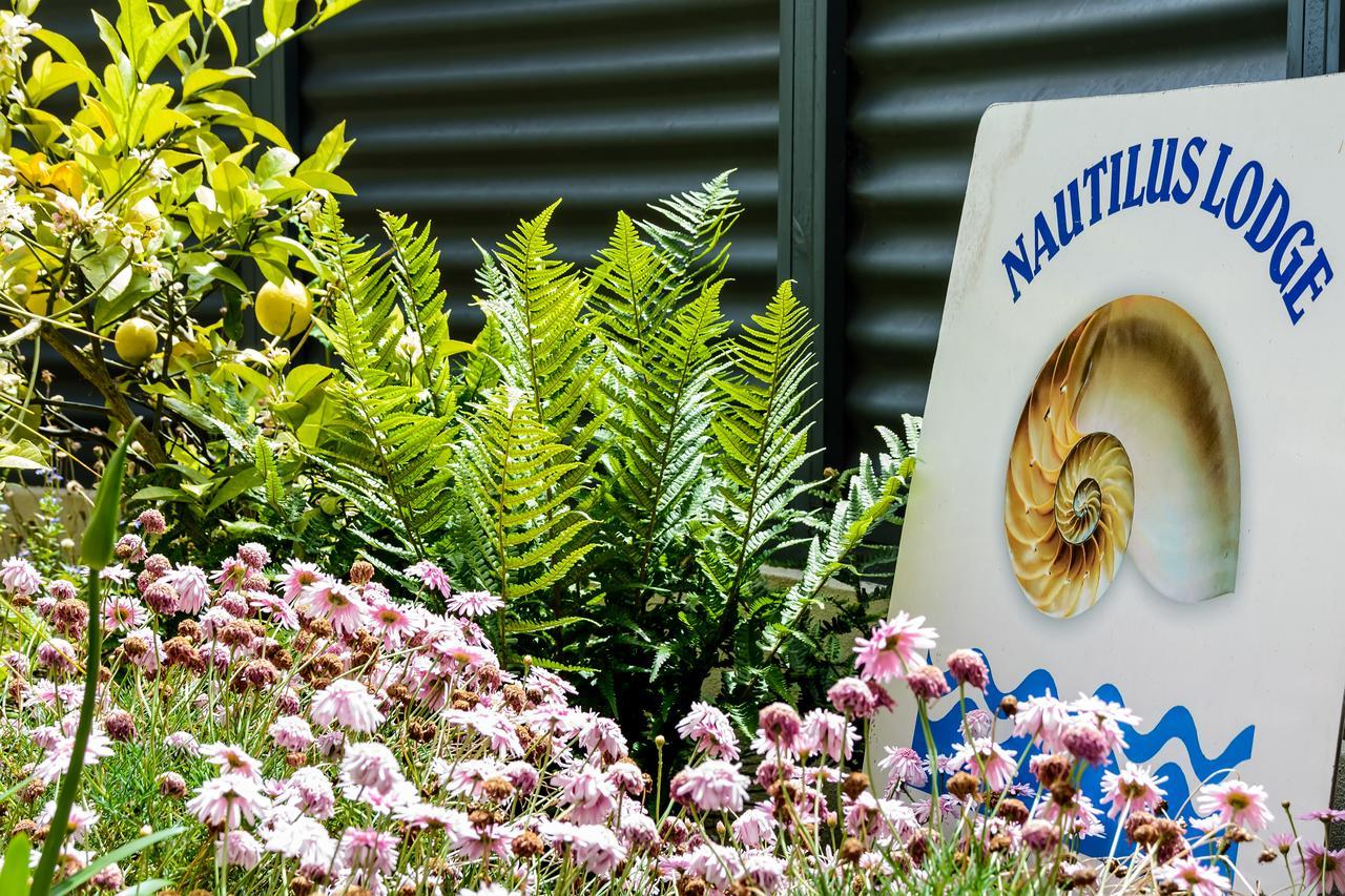 Nautilus Lodge Motel モトゥイーカ エクステリア 写真